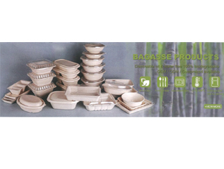 Bagasse Food Container/Boxes CD-BX-02